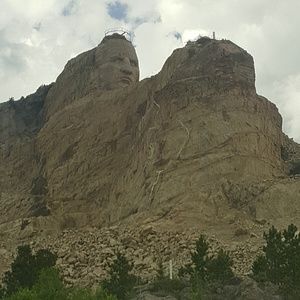 Meet your Posher, Frankie